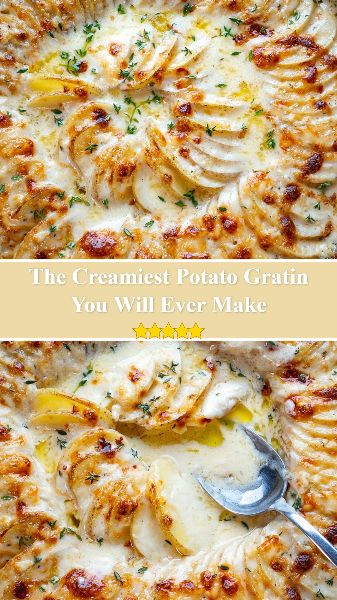 Potato Gratin